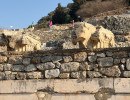 264 img 4416 20260321